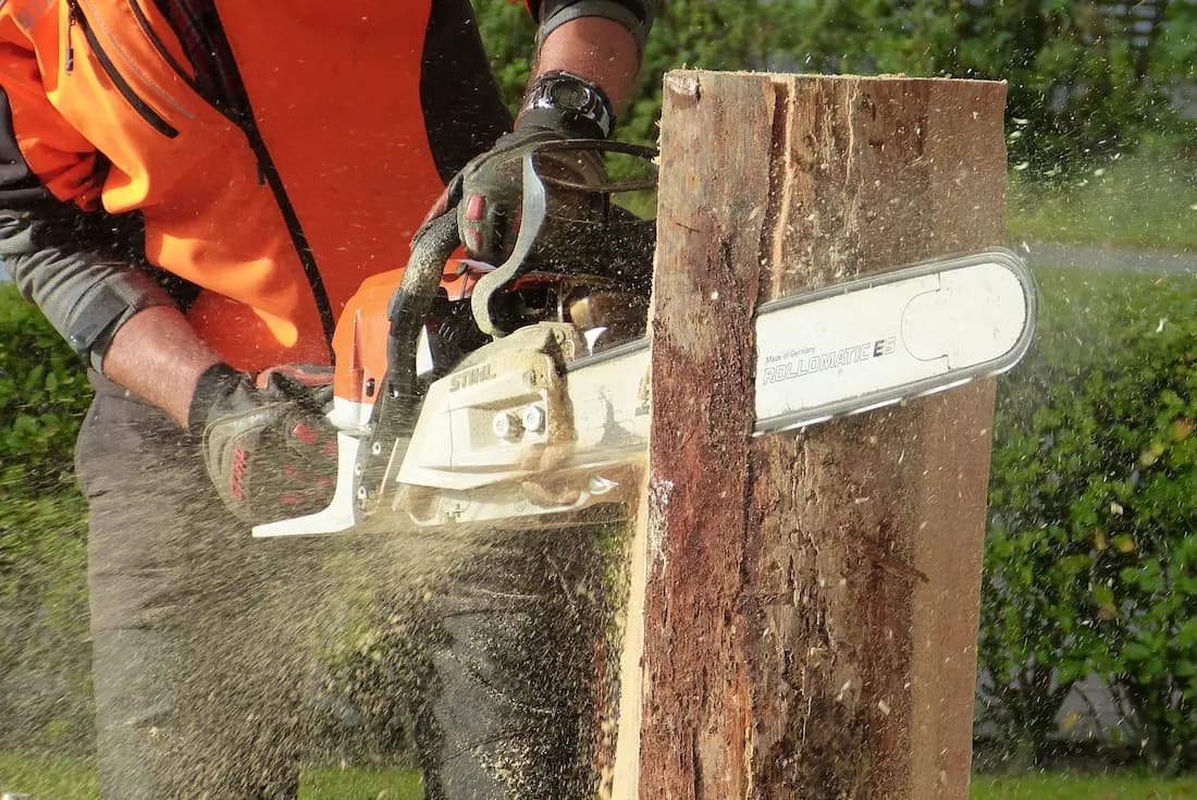 Scieur, tronçonneur et expert en abattage d'arbres